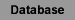 Database